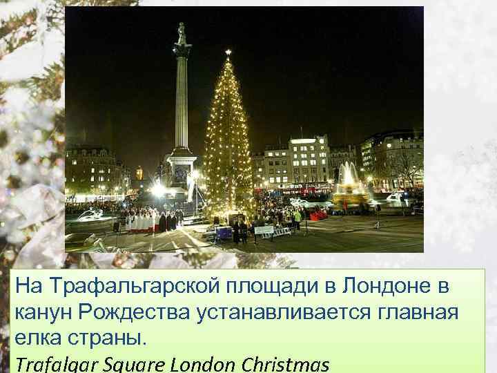 На Трафальгарской площади в Лондоне в канун Рождества устанавливается главная елка страны. Trafalgar Square