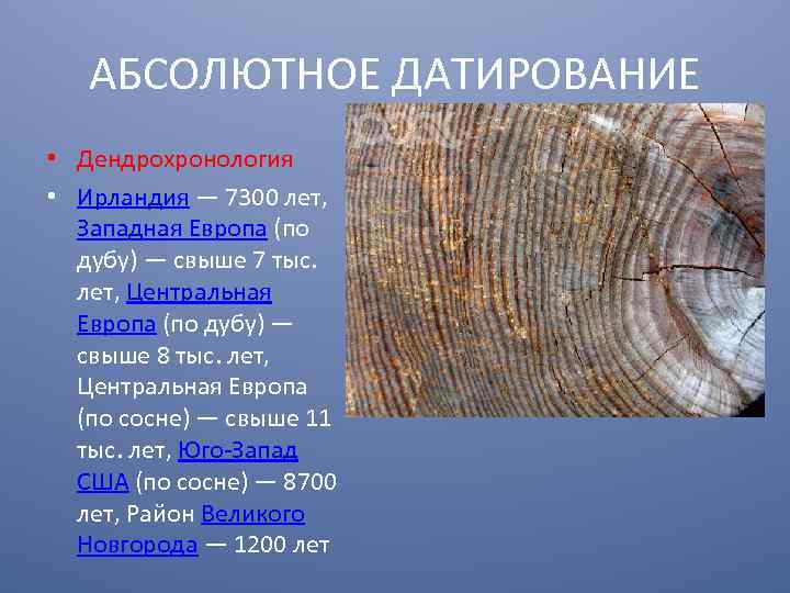 АБСОЛЮТНОЕ ДАТИРОВАНИЕ • Дендрохронология • Ирландия — 7300 лет, Западная Европа (по дубу) —