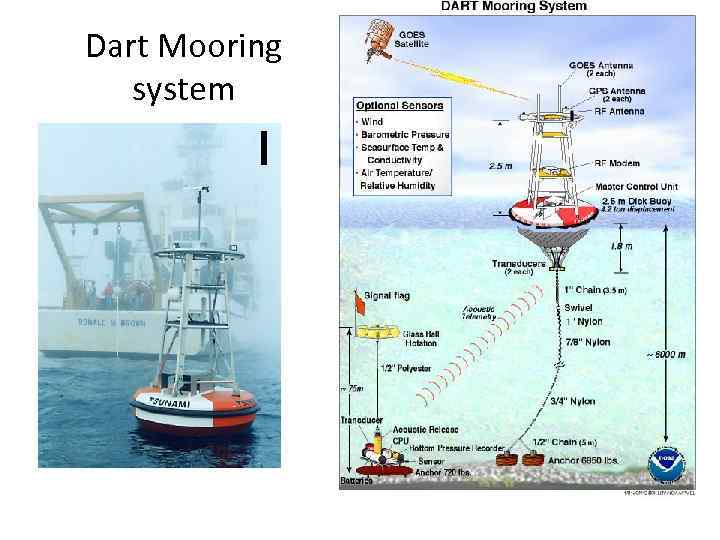 Dart Mooring system 