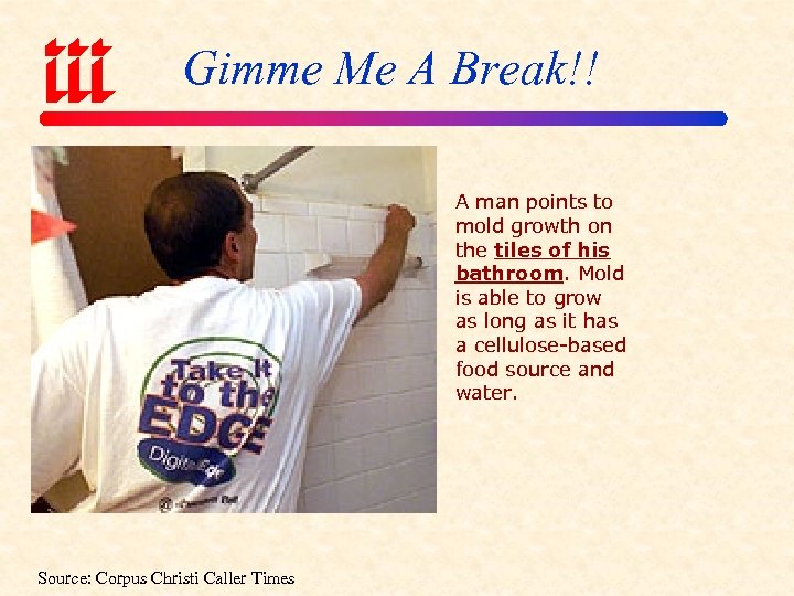 Gimme Me A Break!! A man points to mold growth on the tiles of