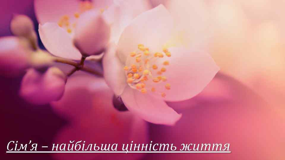 Cім’я – найбільша цінність життя 