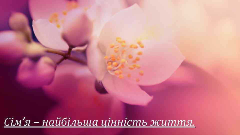 Cім’я – найбільша цінність життя. 