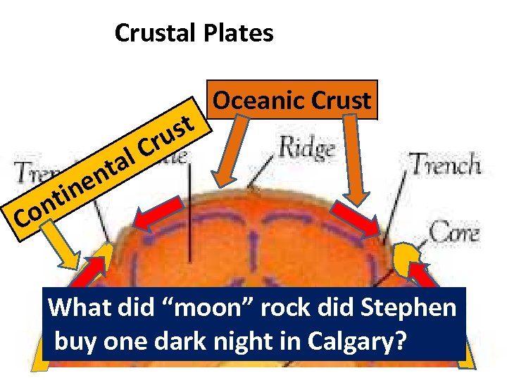 Crustal Plates nt Co st ru Oceanic Crust en in l. C ta What