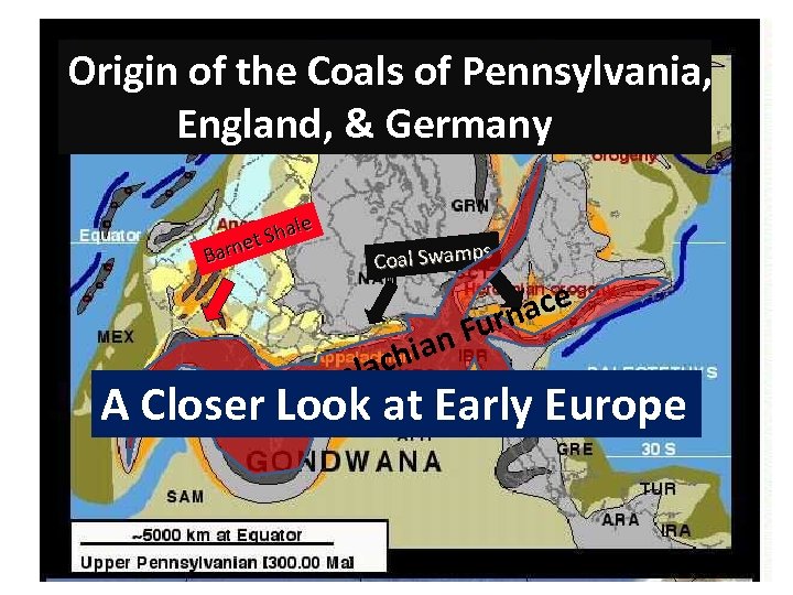 Origin of the Coals of Pennsylvania, England, & Germany e Shal et Barn s