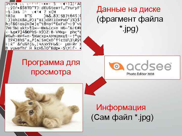 Данные на диске (фрагмент файла *. jpg) Программа для просмотра Информация (Сам файл *.