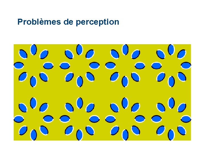 Problèmes de perception 