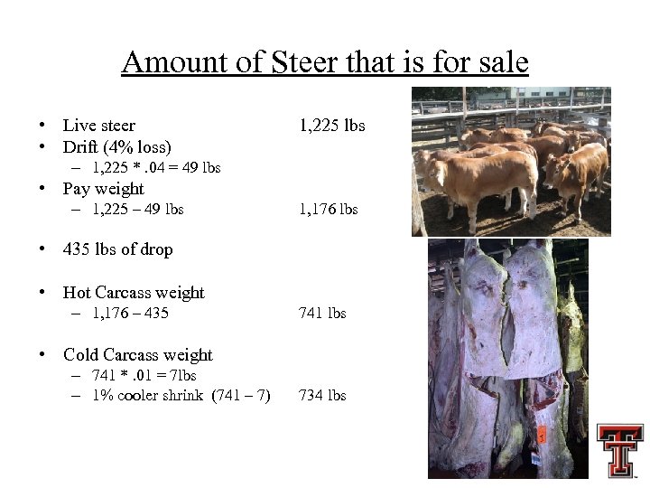 Amount of Steer that is for sale • Live steer • Drift (4% loss)