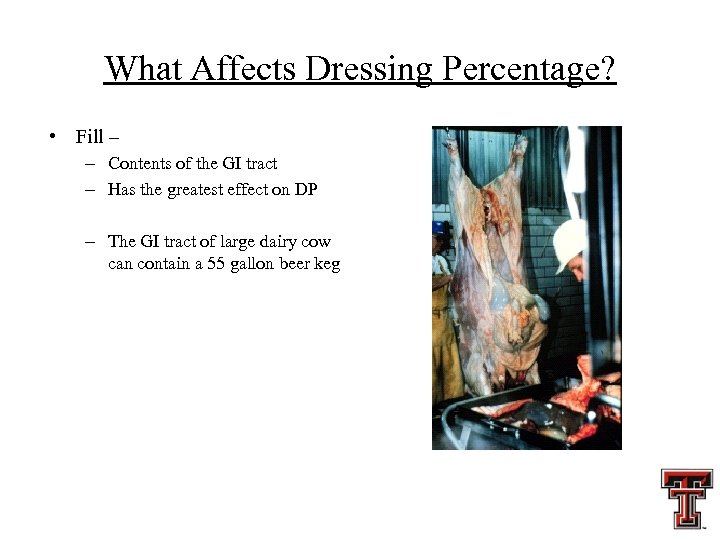 What Affects Dressing Percentage? • Fill – – Contents of the GI tract –