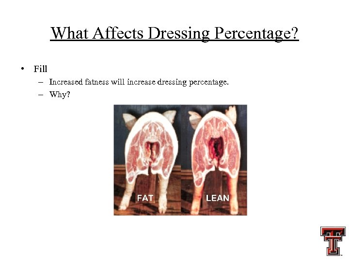 What Affects Dressing Percentage? • Fill – Increased fatness will increase dressing percentage. –