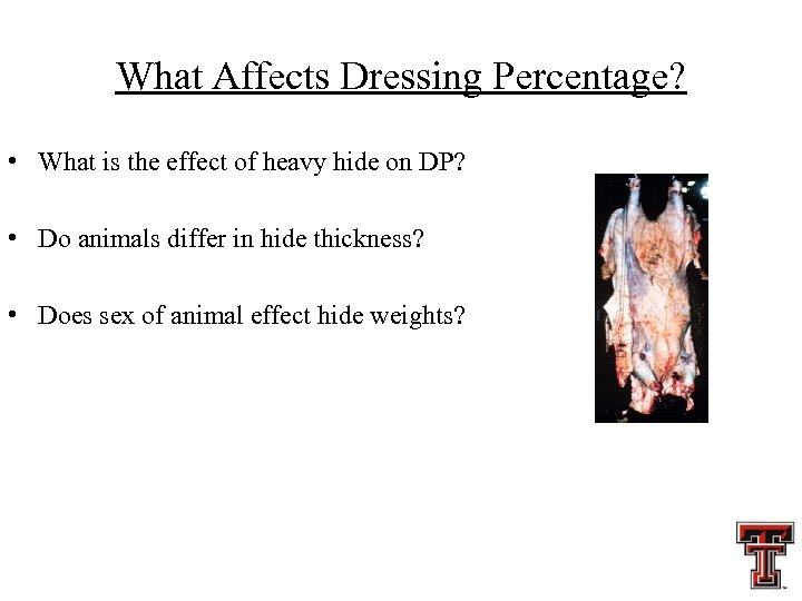 What Affects Dressing Percentage? • What is the effect of heavy hide on DP?