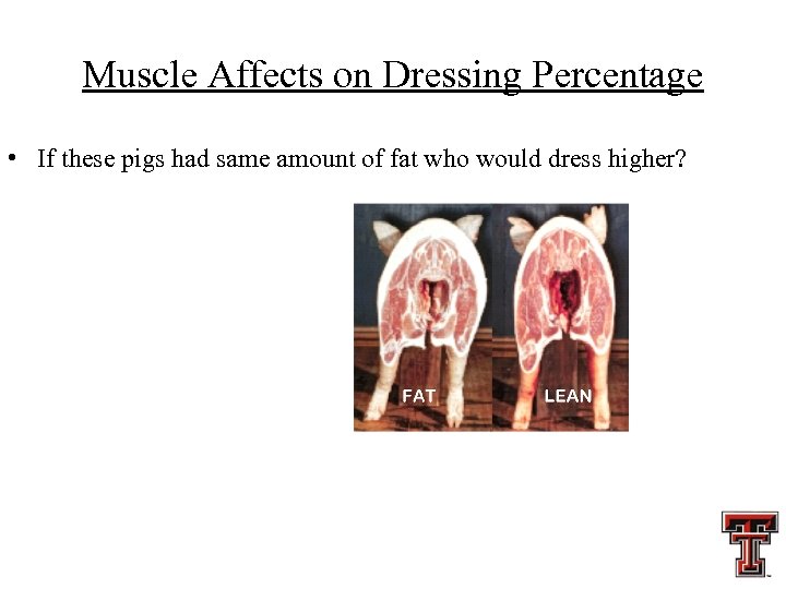 Muscle Affects on Dressing Percentage • If these pigs had same amount of fat