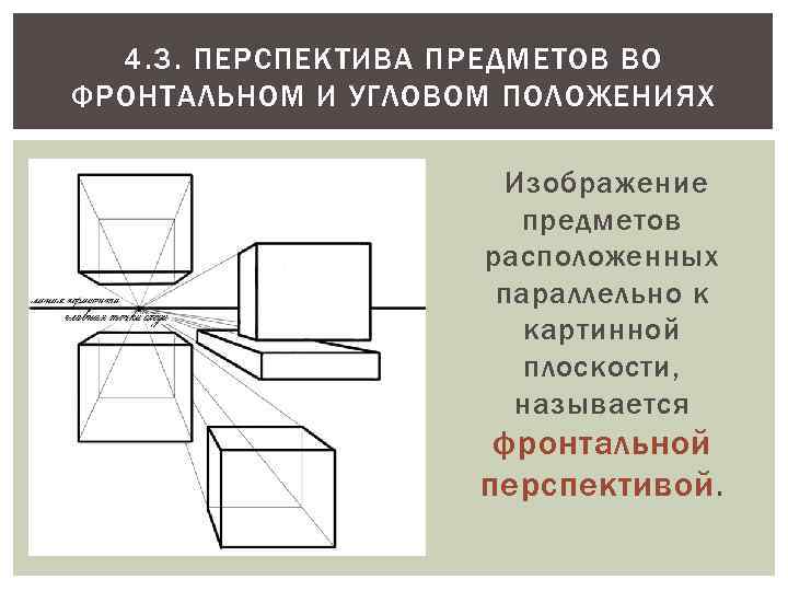 Изображение предмета в перспективе 6 букв сканворд