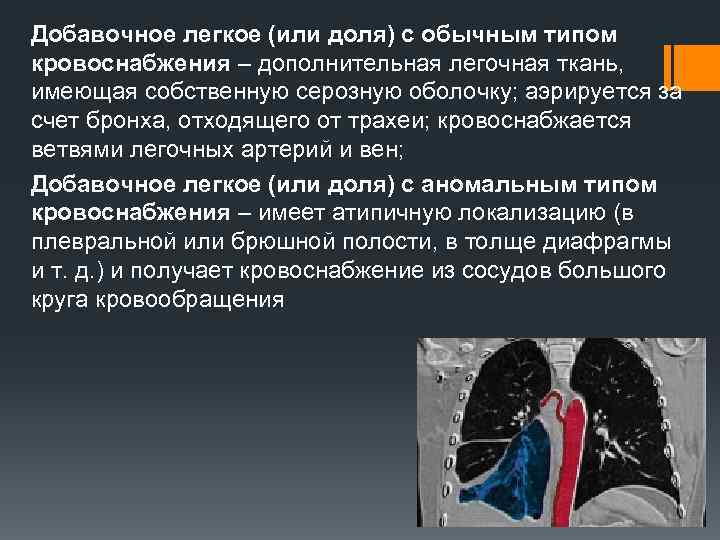 Добавочное легкое (или доля) с обычным типом кровоснабжения – дополнительная легочная ткань, имеющая собственную