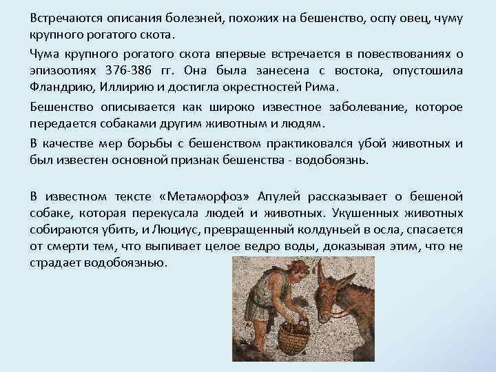 Встречаются описания болезней, похожих на бешенство, оспу овец, чуму крупного рогатого скота. Чума крупного