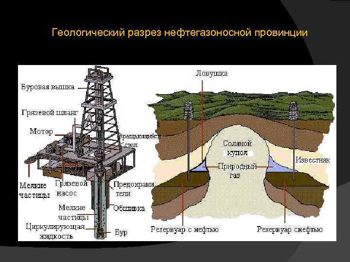 Геологический разрез нефтегазоносной провинции 