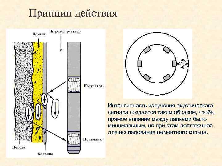 Принцип действия Интенсивность излучения акустического сигнала создается таким образом, чтобы прямое влияние между лапками