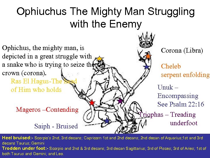Ophiuchus The Mighty Man Struggling with the Enemy Ophichus, the mighty man, is depicted