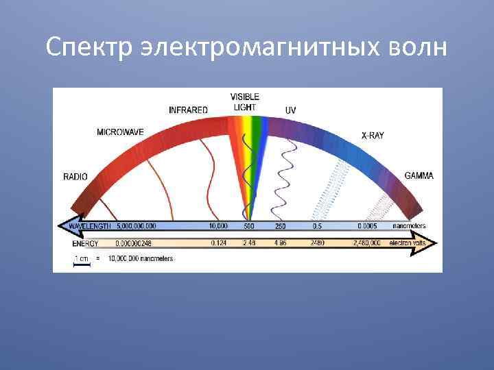 Спектр электромагнитных волн 