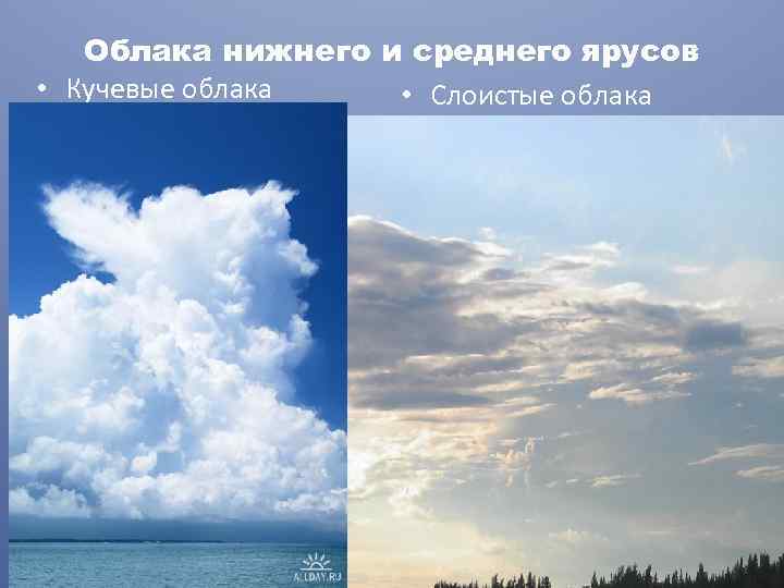 Облака нижнего и среднего ярусов • Кучевые облака • Слоистые облака 