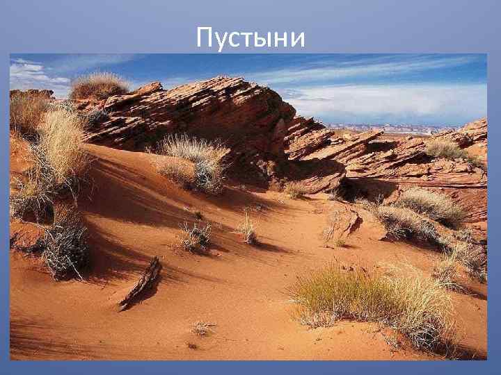 Пустыни 