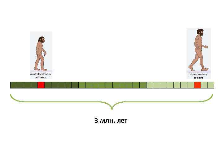 3 млн. лет 