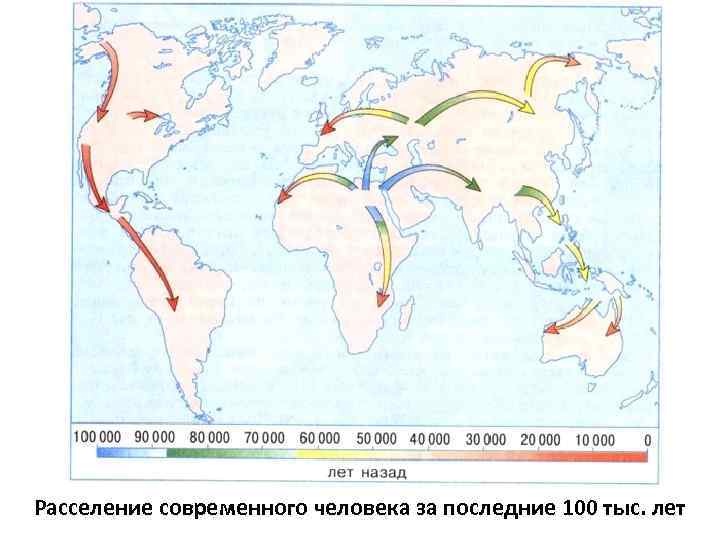 Расселение современного человека за последние 100 тыс. лет 