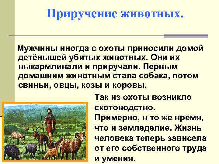 Приручение животных. Мужчины иногда с охоты приносили домой детёнышей убитых животных. Они их выкармливали