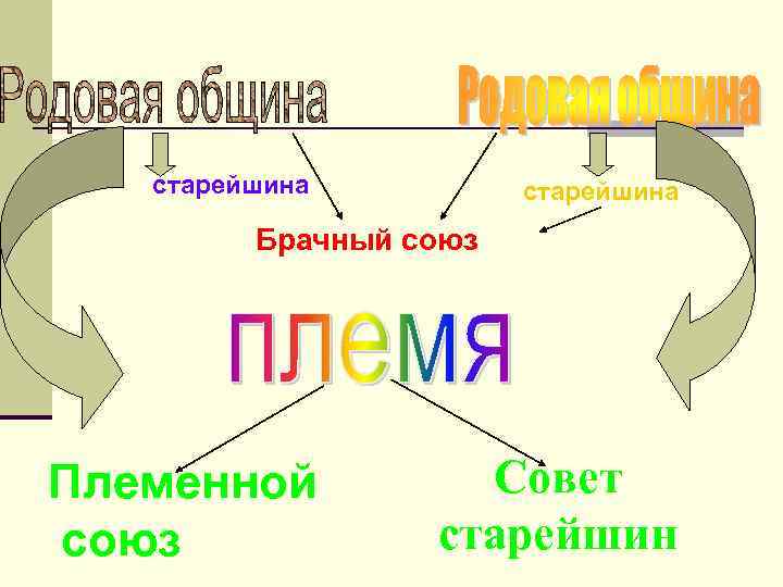 старейшина Брачный союз Племенной союз Совет старейшин 