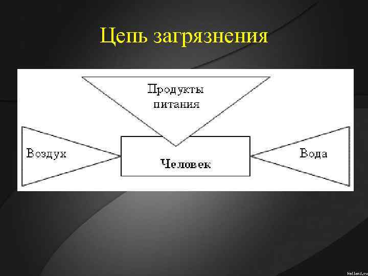 Цепь загрязнения 