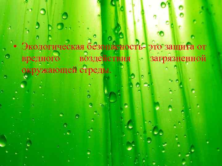  • Экологическая безопасность- это защита от вредного воздействия загрязненной окружающей стреды. 