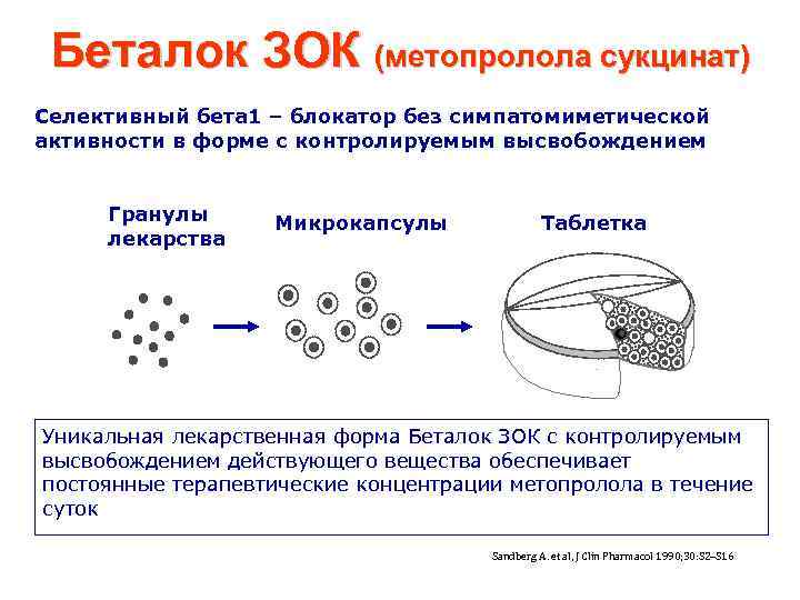 Беталок ЗОК (метопролола сукцинат) Селективный бета 1 – блокатор без симпатомиметической активности в форме