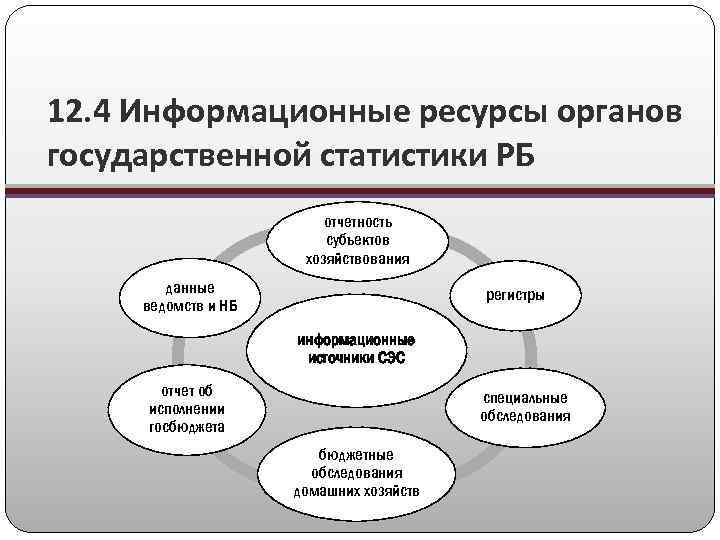12. 4 Информационные ресурсы органов государственной статистики РБ отчетность субъектов хозяйствования данные ведомств и