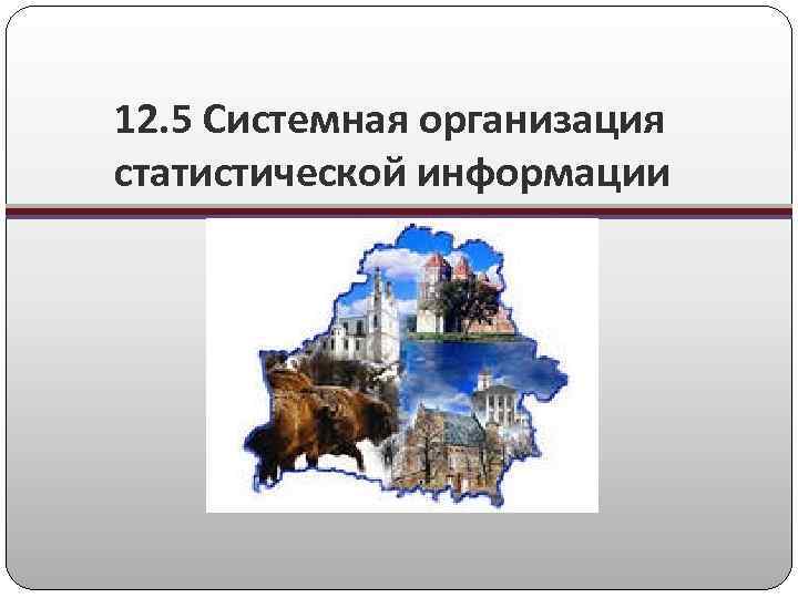 12. 5 Системная организация статистической информации 