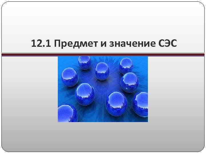 12. 1 Предмет и значение СЭС 