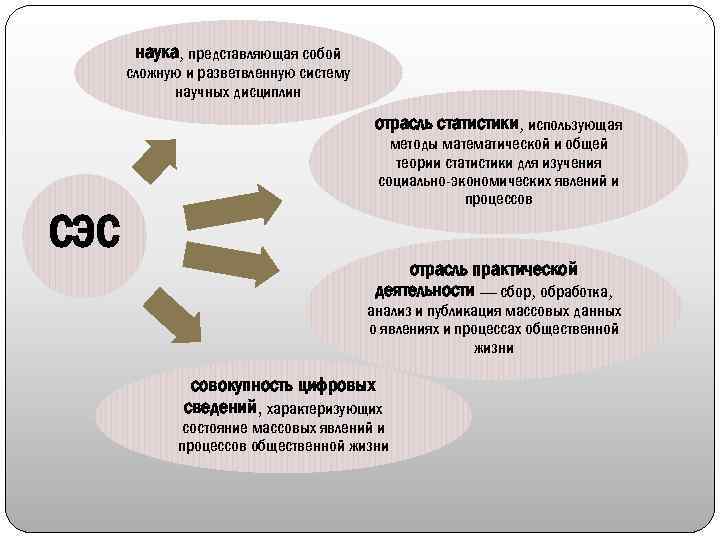 Экономическая наука представляет собой