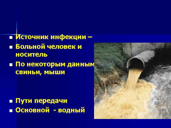 n n n Источник инфекции – Больной человек и носитель По некоторым данным –