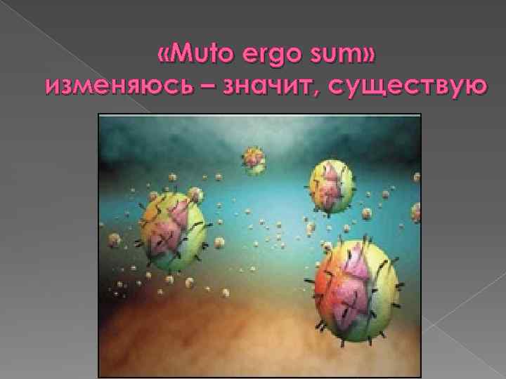  «Muto ergo sum» изменяюсь – значит, существую 