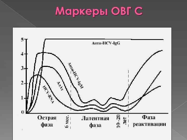 Маркеры ОВГ С 