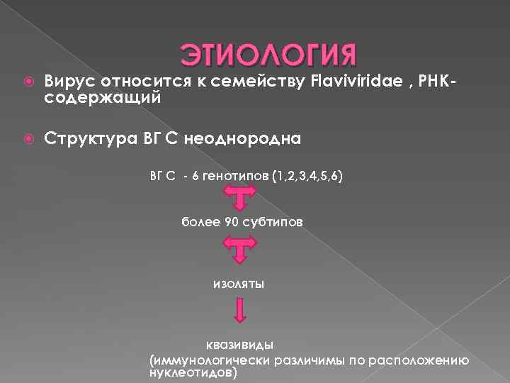 ЭТИОЛОГИЯ Вирус относится к семейству Flaviviridae , РНКсодержащий Структура ВГ С неоднородна ВГ С