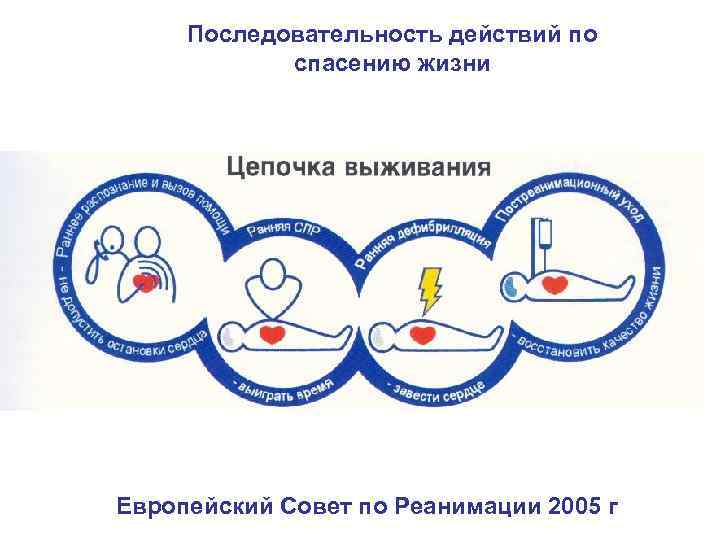 Последовательность действий по спасению жизни 8, 6 Европейский Совет по Реанимации 2005 г 