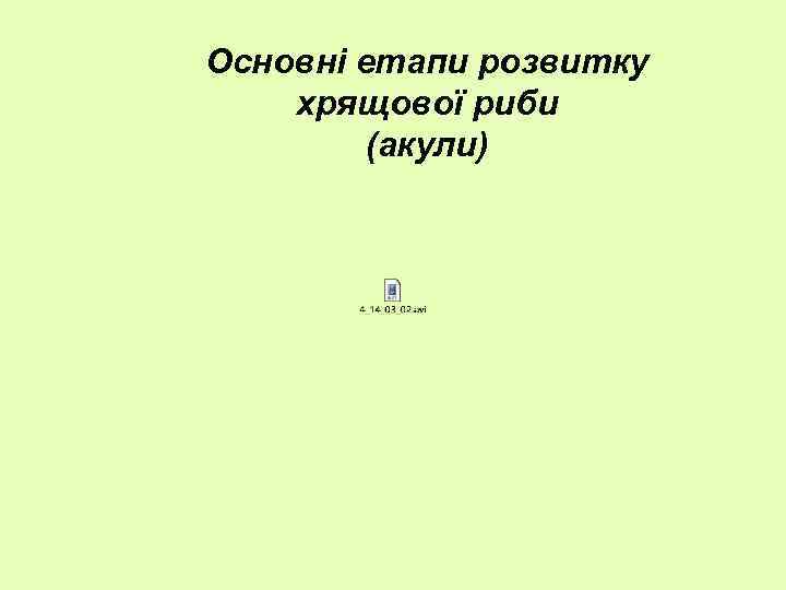 Основні етапи розвитку хрящової риби (акули) 