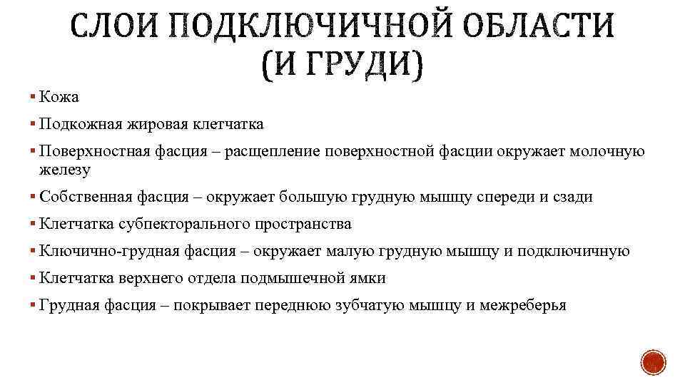 § Кожа § Подкожная жировая клетчатка § Поверхностная фасция – расщепление поверхностной фасции окружает