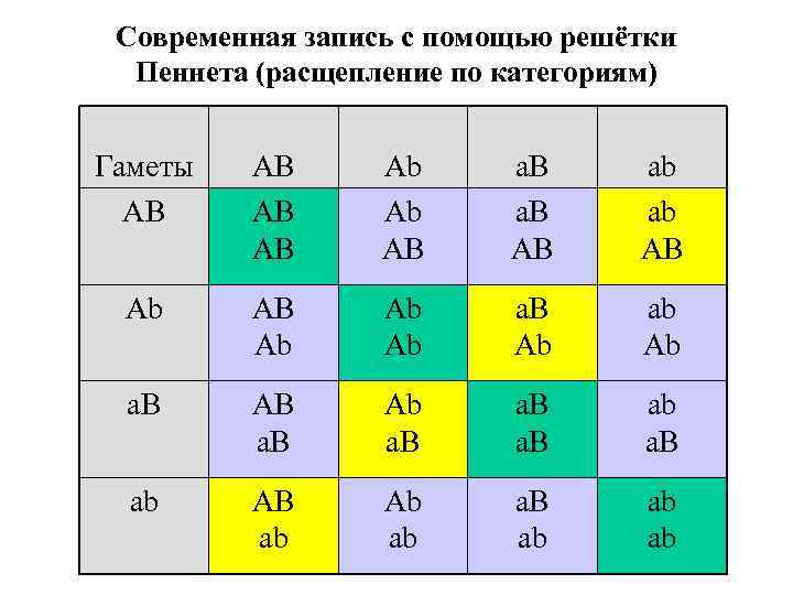 Схема построения решетки пеннета