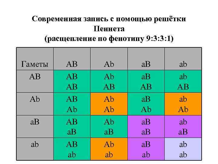 Схема построения решетки пеннета