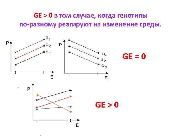 GE > 0 в том случае, когда генотипы по-разному реагируют на изменение среды. GE