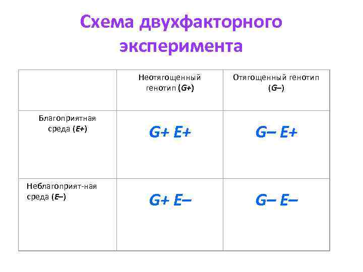 Схема двухфакторного эксперимента Неотягощенный генотип (G+) Отягощенный генотип (G–) Благоприятная среда (Е+) Неблагоприят-ная среда