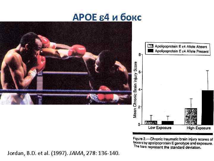 APOE e 4 и бокс Jordan, B. D. et al. (1997). JAMA, 278: 136