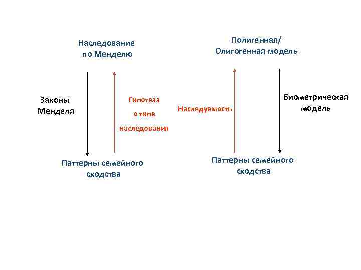 Наследование по Менделю Законы Менделя Гипотеза о типе Полигенная/ Олигогенная модель Наследуемость Биометрическая модель