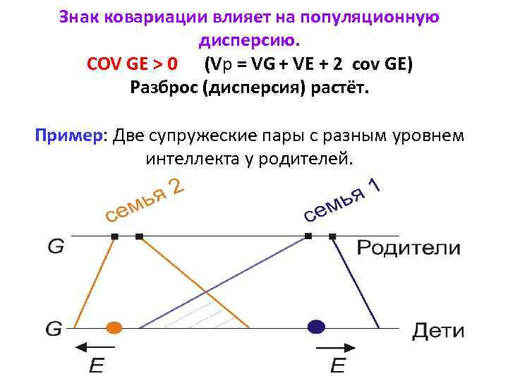 Знак ковариации влияет на популяционную дисперсию. COV GE > 0 (Vp = VG +