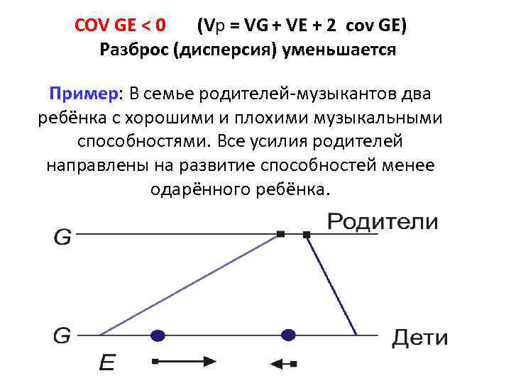 COV GE < 0 (Vp = VG + VE + 2 cov GE) Разброс